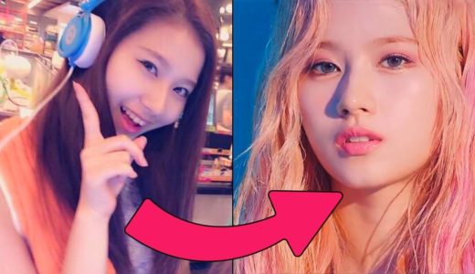 This Is How TWICE Was Formed