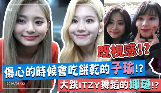 【TWICE】傷心時會吃餅乾的子瑜!?｜大跳ITZY舞蹈的娜璉｜躲在多賢後面的SANA