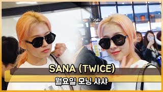 TWICE(트와이스) 사나, 월요일 모닝 샤샤 [WD영상]