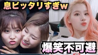 【TWICE・日本語字幕】サナ飛行機の中で叫ぶ😂 （本当にビックリしましたw）