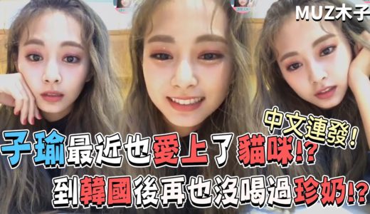 【TWICE】中文連發！子瑜最近也愛上了貓咪!? 到韓國後再也沒有喝過珍奶!?