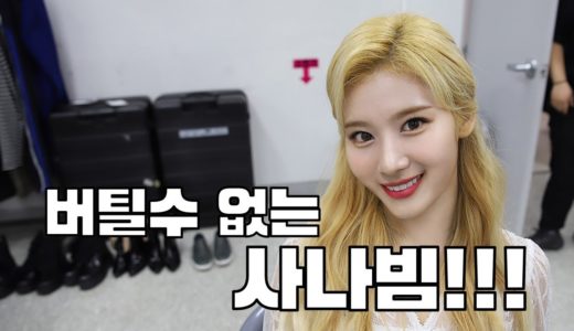 [TWICE] 트와이스 사나 - 버틸수 없는 사나빔!!!!!!