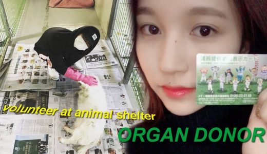 the golden heart of TWICE