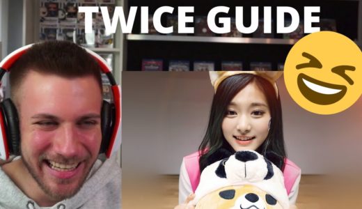 An Unhelpful Guide To Twice Members (part 2) – Reaction