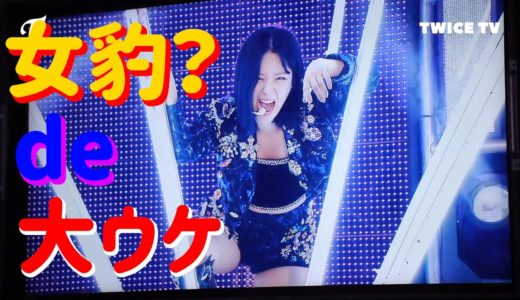 【TWICE】ジョンヨン女豹(?)ポーズで大ウケ　～2019MBC歌謡大祭典 (19/12/31)の事前収録～