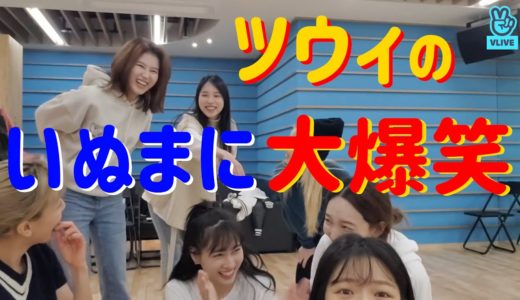 【TWICE】コンサート苦労話とツウィの爆笑テンポミス