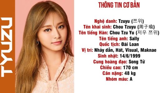 Tiểu Sử Các Thành Viên TWICE - Mới Nhất 2020