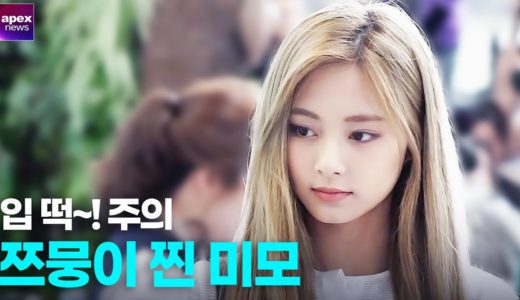 트와이스(TWICE) 쯔위, 쯔뭉이 찐 미모 실화냐 |  TWICE Tzuyu Compilation