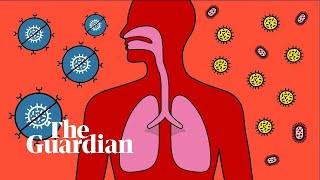 Can you get coronavirus twice?
