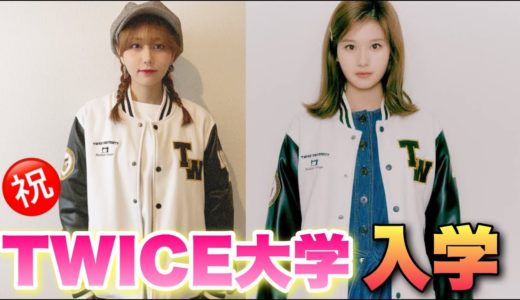 韓国から取り寄せてTWICEの大学に入学したら神でした【韓国 開封】