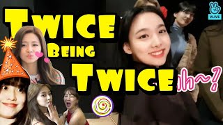 TWICE 트와이스 FUNNY MOMENTS [Comedy group] pt 4
