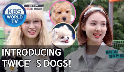 Introducing TWICE’s dogs! [Dogs are incredible/ENG/2020.06.24]