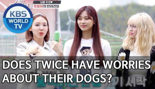 Does TWICE have worries about their dogs? [Dogs are incredible/ENG/2020.06.24]