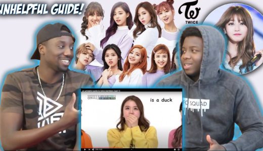 an Unhelpful Guide to Twice members | REACTION
