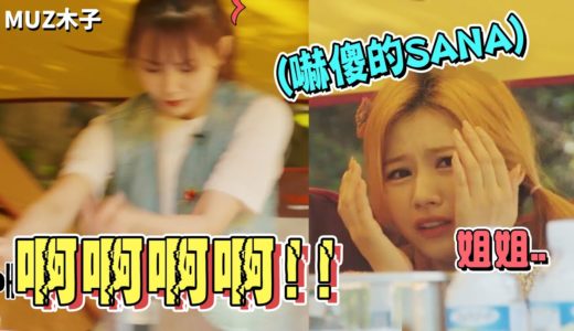 【TWICE】原本淡定的子瑜看到假蛇後的反應!? SANA被蜜蜂被嚇傻 大姐娜璉卻趕緊落跑｜療癒露營EP2