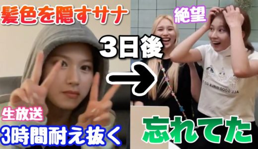 【TWICE】サナが間違えて髪色を公開してしまうwww