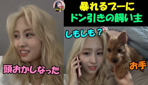 【TWICE】ブーが暴れだしてドン引きする飼い主のモモ!!