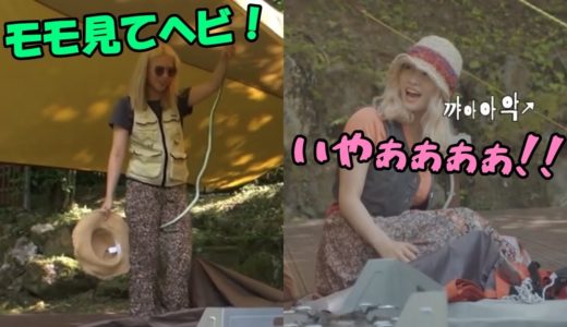 【TWICE】キャンプ中でもイタズラするジョンヨンにモモが絶叫!!