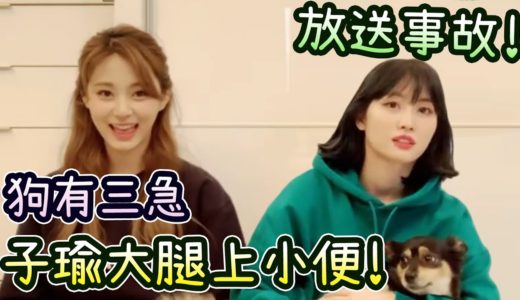 Twice子瑜跳Cry For Me時小狗小便在她大腿! 對宣美讚新歌好聽的反應