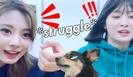 TWICE *struggle* to learn chinese from tzuyu ft. their dogs
