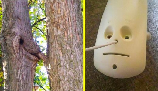 Photos You Have To Look At Twice To Understand