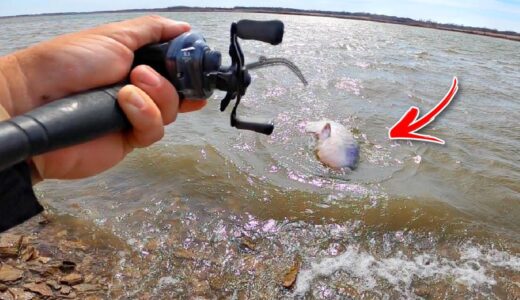 Catching the BIGGEST Fish of My Life *TWICE* in One Day!! (Bank Fishing)