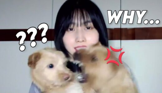 more and more TWICE moments that are very questionable