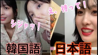 【TWICE モモ】宿舎で日本語と韓国語どう使い分けてる？（字幕）