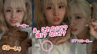 【TWICE】服に虫がついてると言われて日本語でテンパるモモりんが可愛いすぎる!!