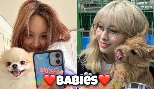 TWICE being so wholesome with animals for 8 and a half minutes :)