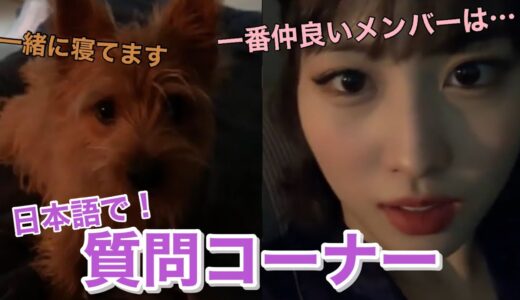 【TWICE】ブーへの質問をモモが日本語でお答えします