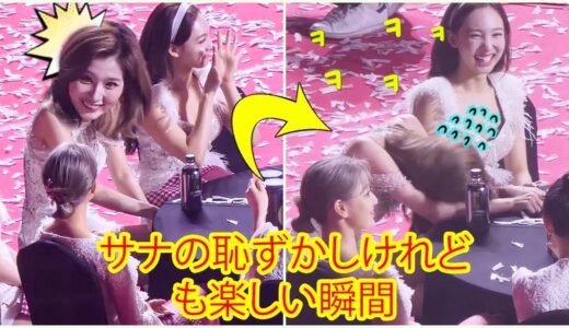 【トゥワイス日本語字幕】TWICE サナの恥ずかしけれども楽しい瞬間