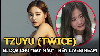 Tzuyu (TWICE) - Bị fan dọa, scandal quá khứ bị đào lại