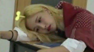twice memes that keeps me up till 3am