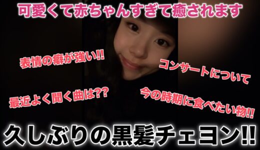 珍しい黒髪チェヨン!! いつも通り癖が強くて面白くて可愛い!!【TWICE/日本語字幕】