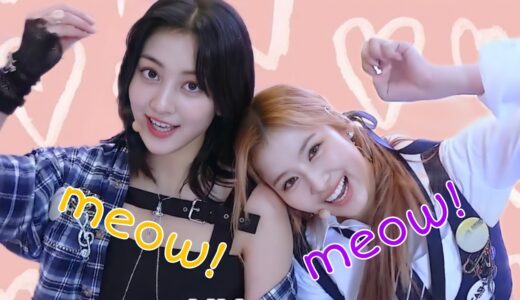 SAHYO owns THE FEELS era