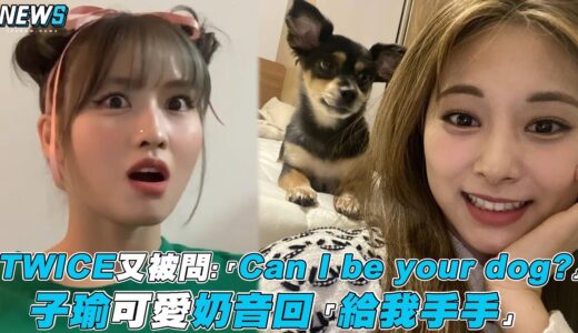 【TWICE】又被問:「Can I be your dog?」子瑜可愛奶音回「給我手手」