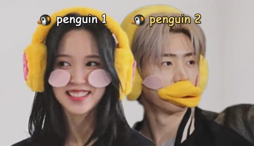 twice and enhypen radiating sibling energy