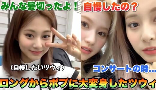 ファンに髪型を自慢する為にツウィがとった行動が可愛すぎるwww【TWICE】