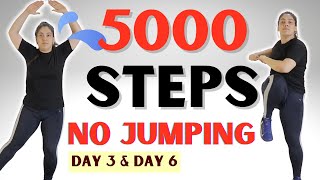 NO REPEAT 5000 Steps At Home / Do it twice and get 10000 steps / NO JUMPING walking workout