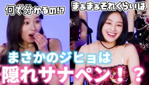 【TWICE】TWICEがMVシルエットクイズをしていたらジヒョがまさかのサナペンだった事が判明！？　#日本語字幕 #twice #ワンス #サナ #ジヒョ #mv
