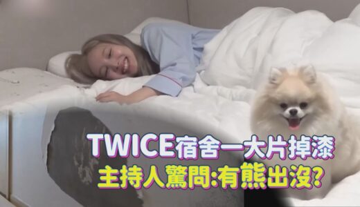 【全知干預視角】TWICE宿舍大公開! 娜璉被經紀人爆料是偽忙內??