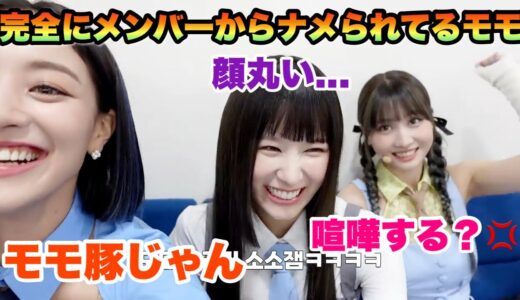 メンバー達からよく喧嘩を売られるモモが面白すぎる！？wwwジョンヨンと喧嘩勃発...【TWICE】