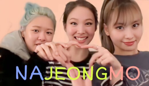 NAJEONGMO's hilarious similarities