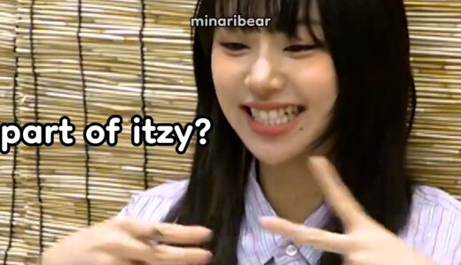 chaeyoung didn’t like twice at first …