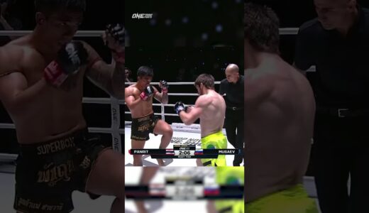 Ilyas Musaev 🇷🇺 flattens Panrit Lukjaomaesaiwaree TWICE for the second-round KO 🤯