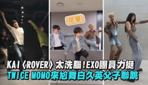 【舞蹈挑戰】KAI〈ROVER〉太洗腦！EXO團員力挺 TWICE MOMO來尬舞白久英父子可愛聯跳