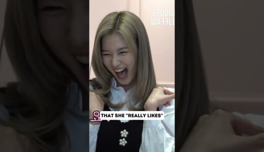 Twice Sana’s Ideal Type Video Causes Backlash