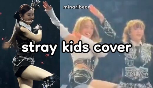 twice dance to this stray kids song during their concert