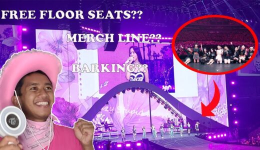 A Helpful Guide/Vlog to K-Pop Concerts (feat. TWICE)